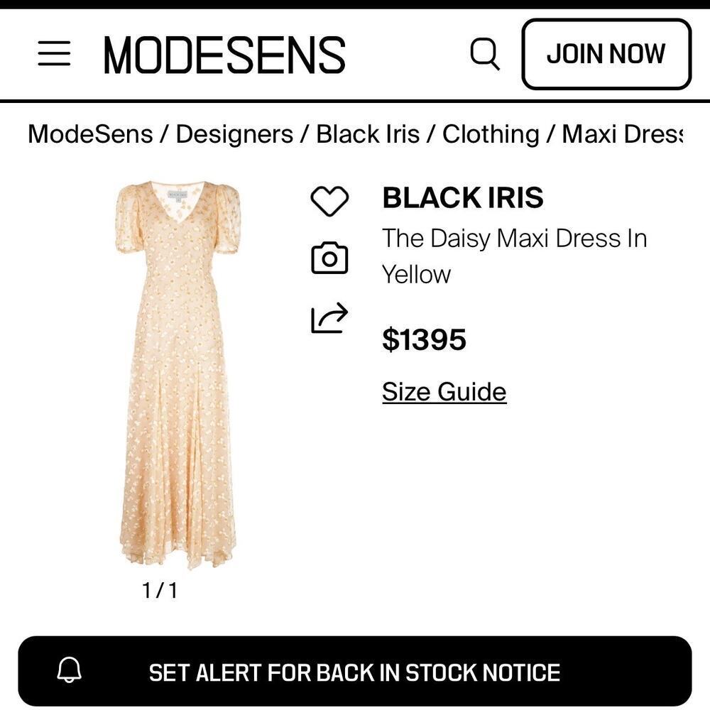 $1,400 Black Iris The Daisy Maxi Dress in Black - Picture 6 of 6